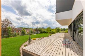 wiesenthalova-37-edit.jpg